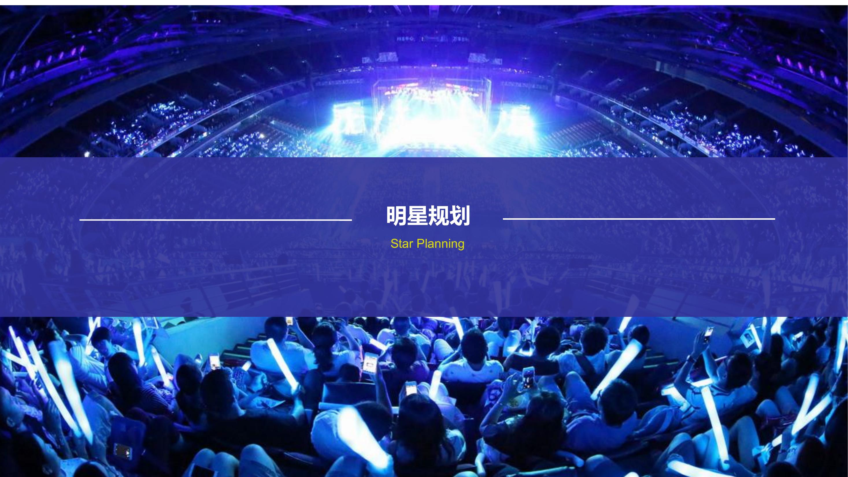 文化艺术晚会策划方案PPT