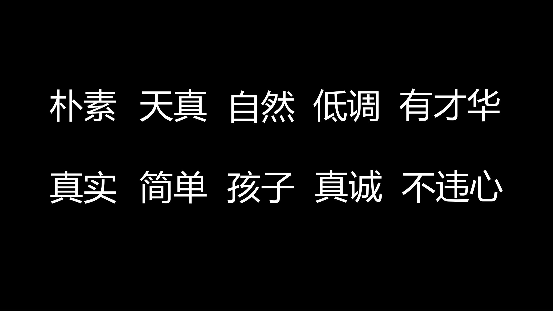 商业地产演唱会策划方案PPT