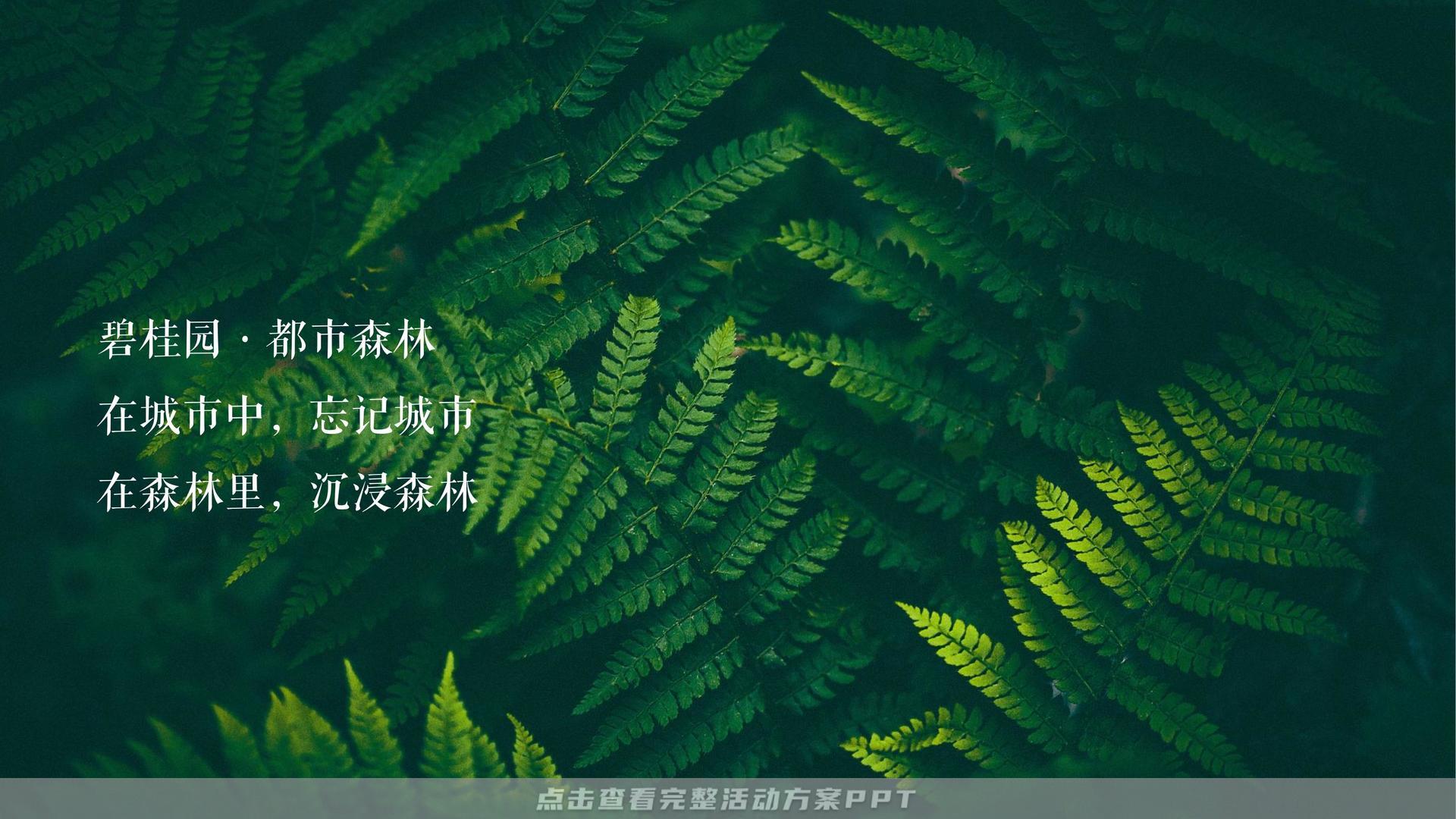 售楼部开放活动策划方案