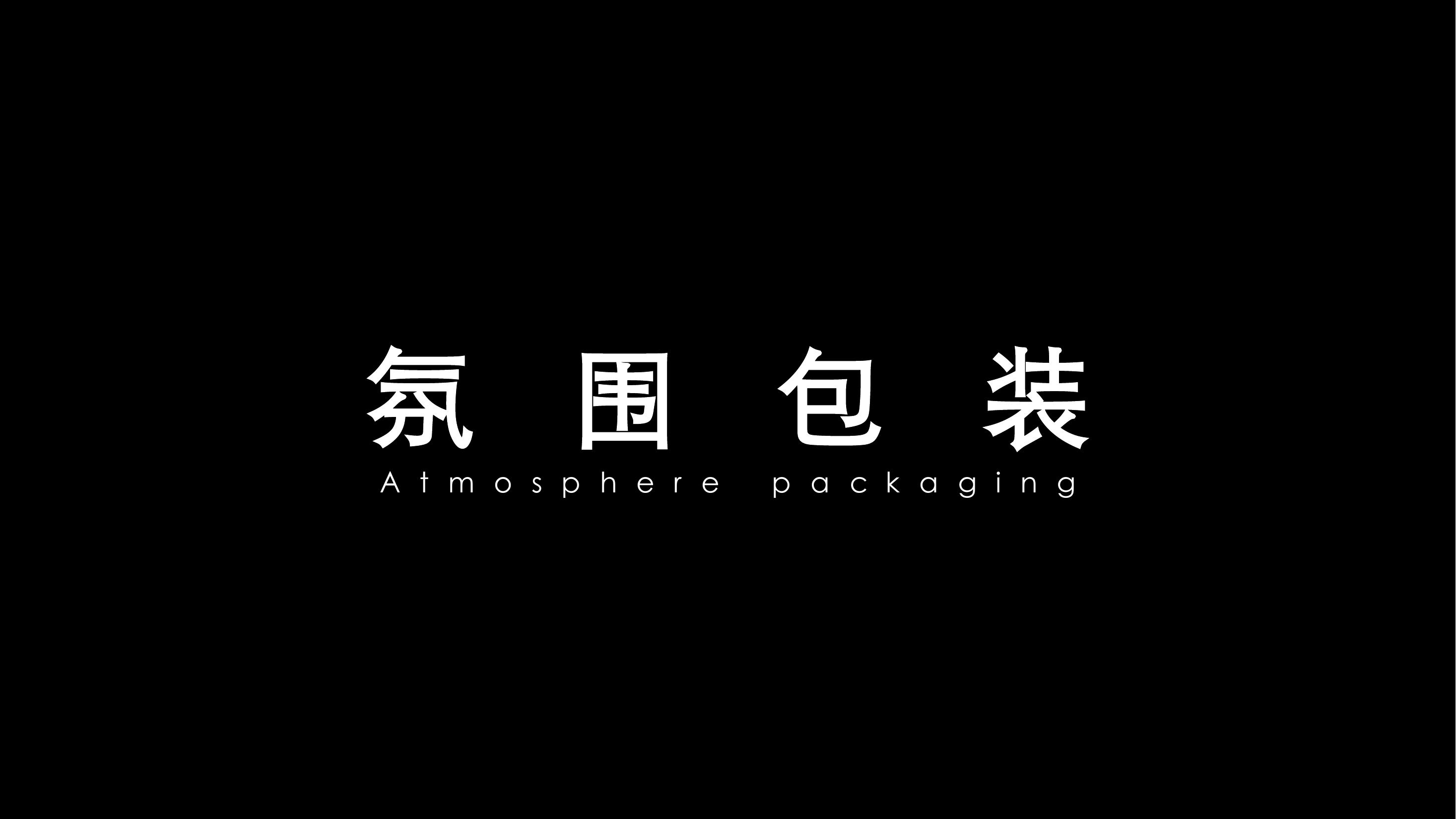 住房地产发布会策划方案PPT