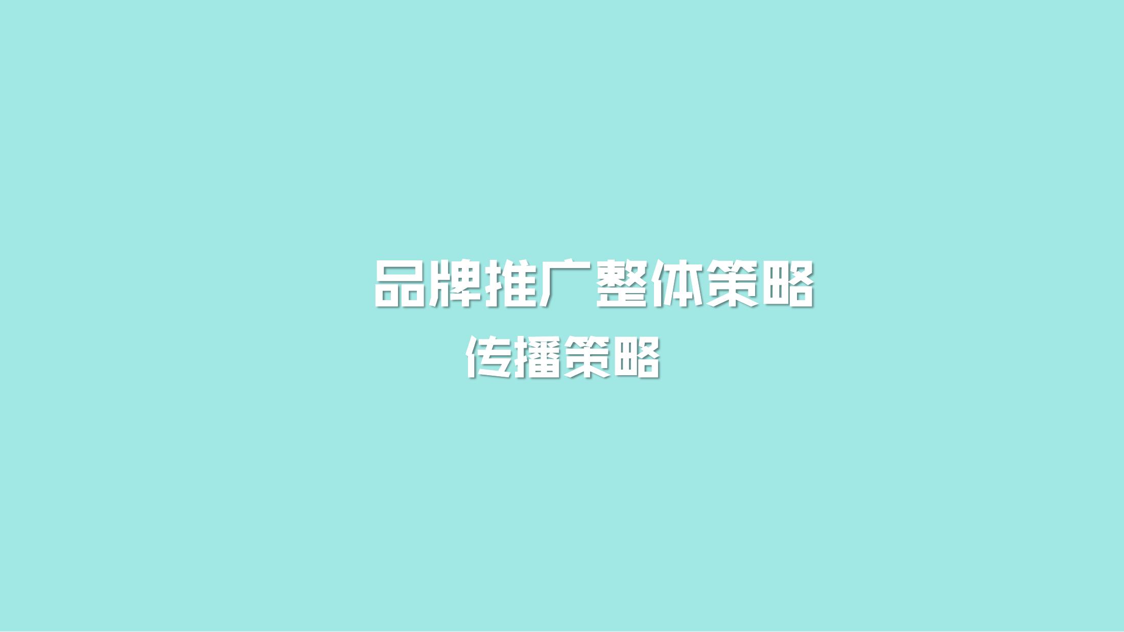 美容养生嘉年华策划方案PPT