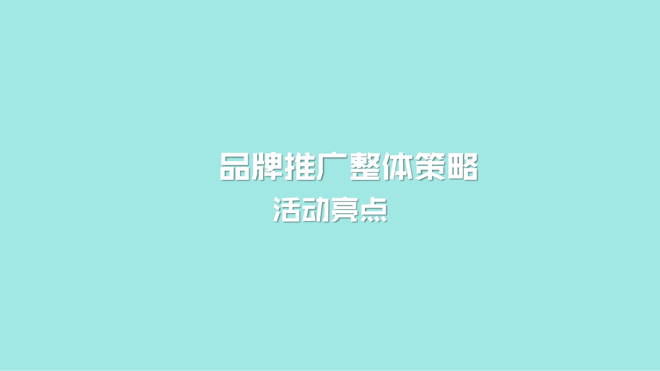 美容养生嘉年华策划方案PPT