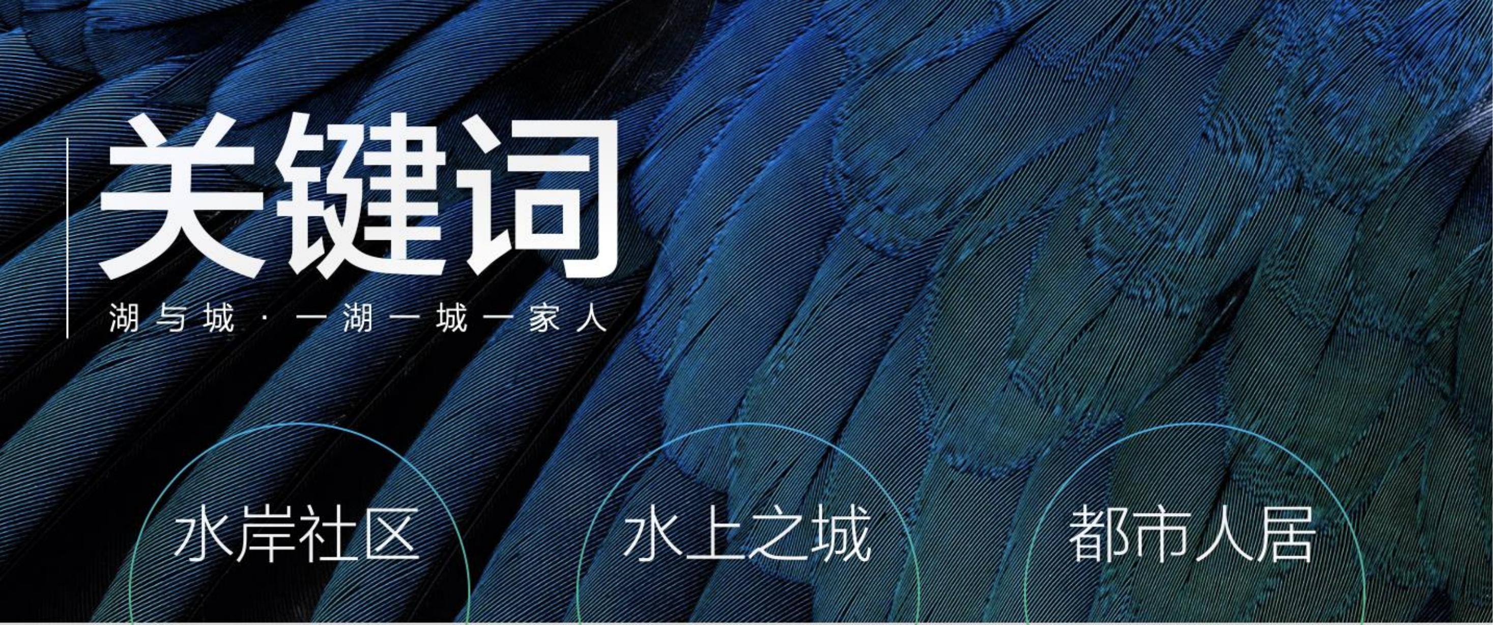 住房地产发布会策划方案PPT