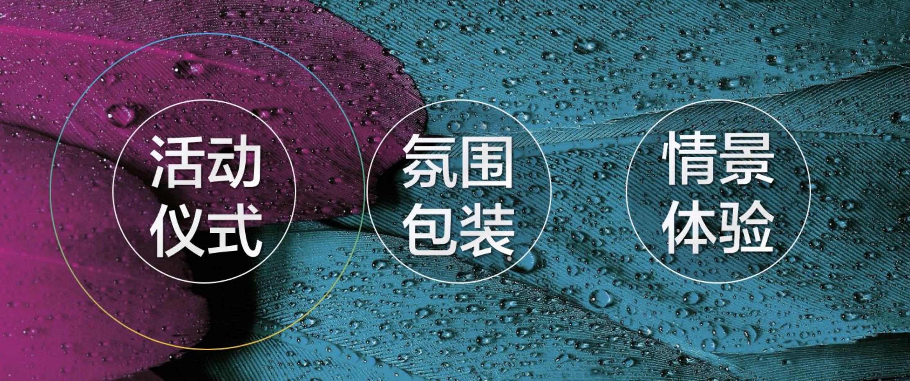 住房地产发布会策划方案PPT