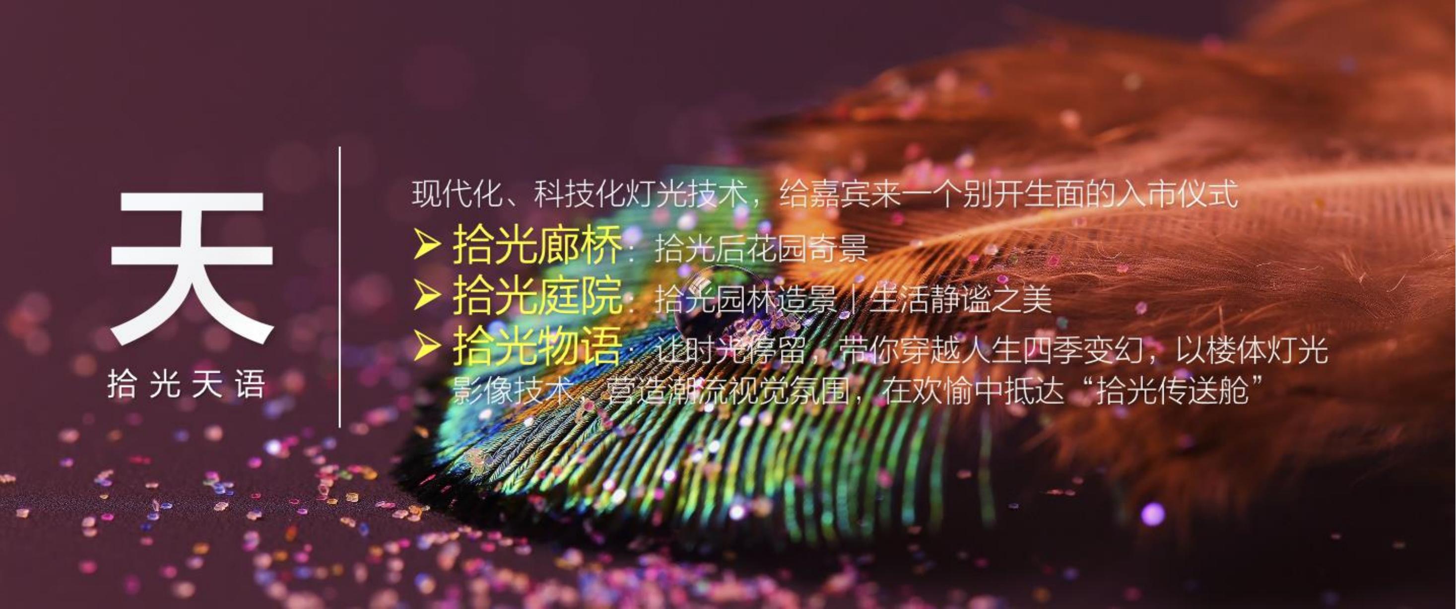 住房地产发布会策划方案PPT