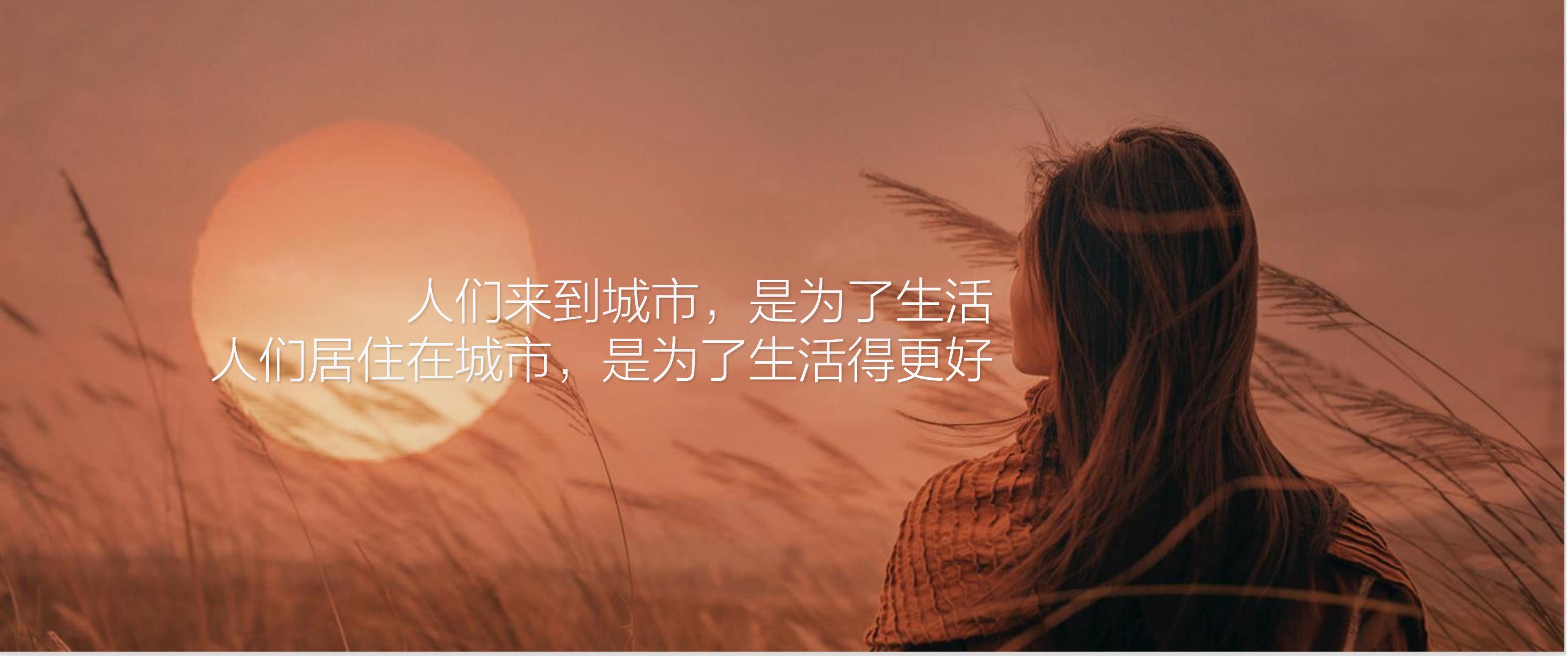 住房地产发布会策划方案PPT