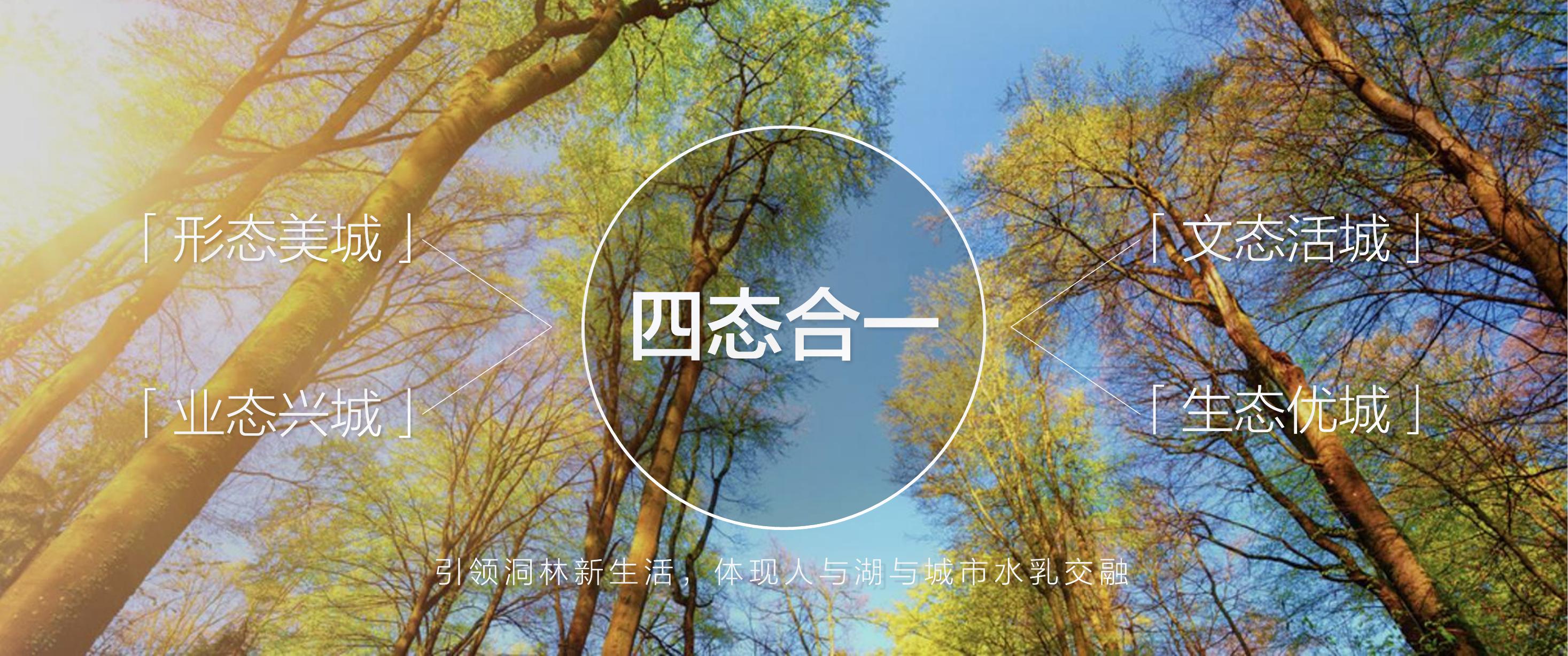 住房地产发布会策划方案PPT
