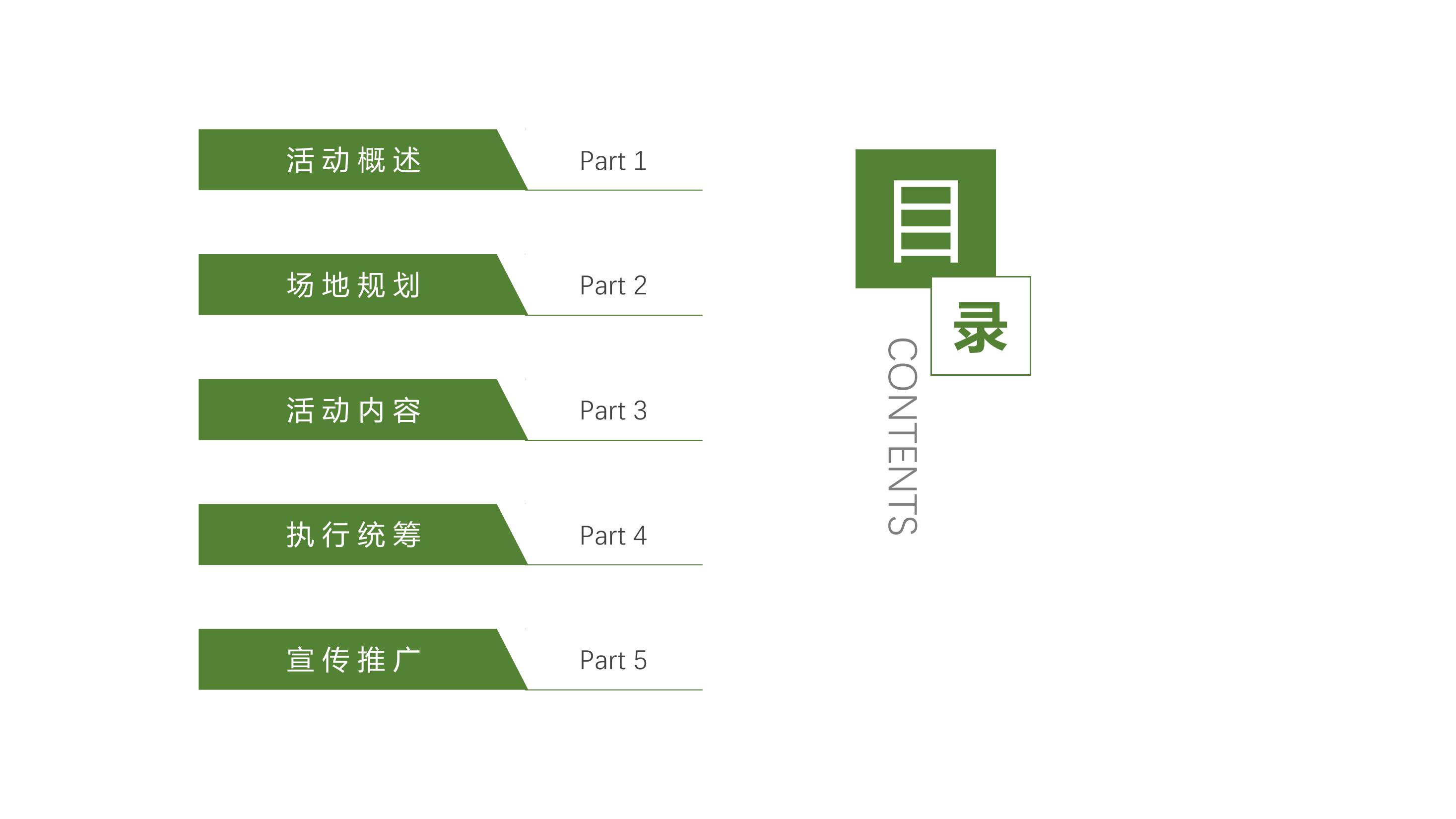 政府嘉年华策划方案PPT