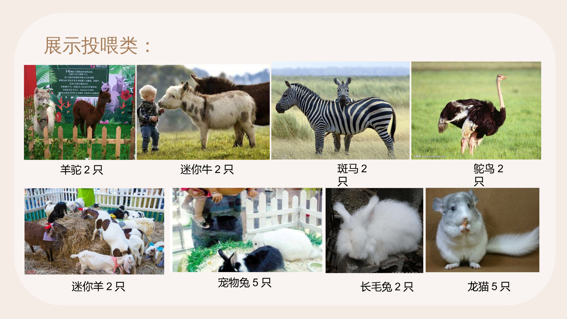 商业地产暖场活动策划方案PPT