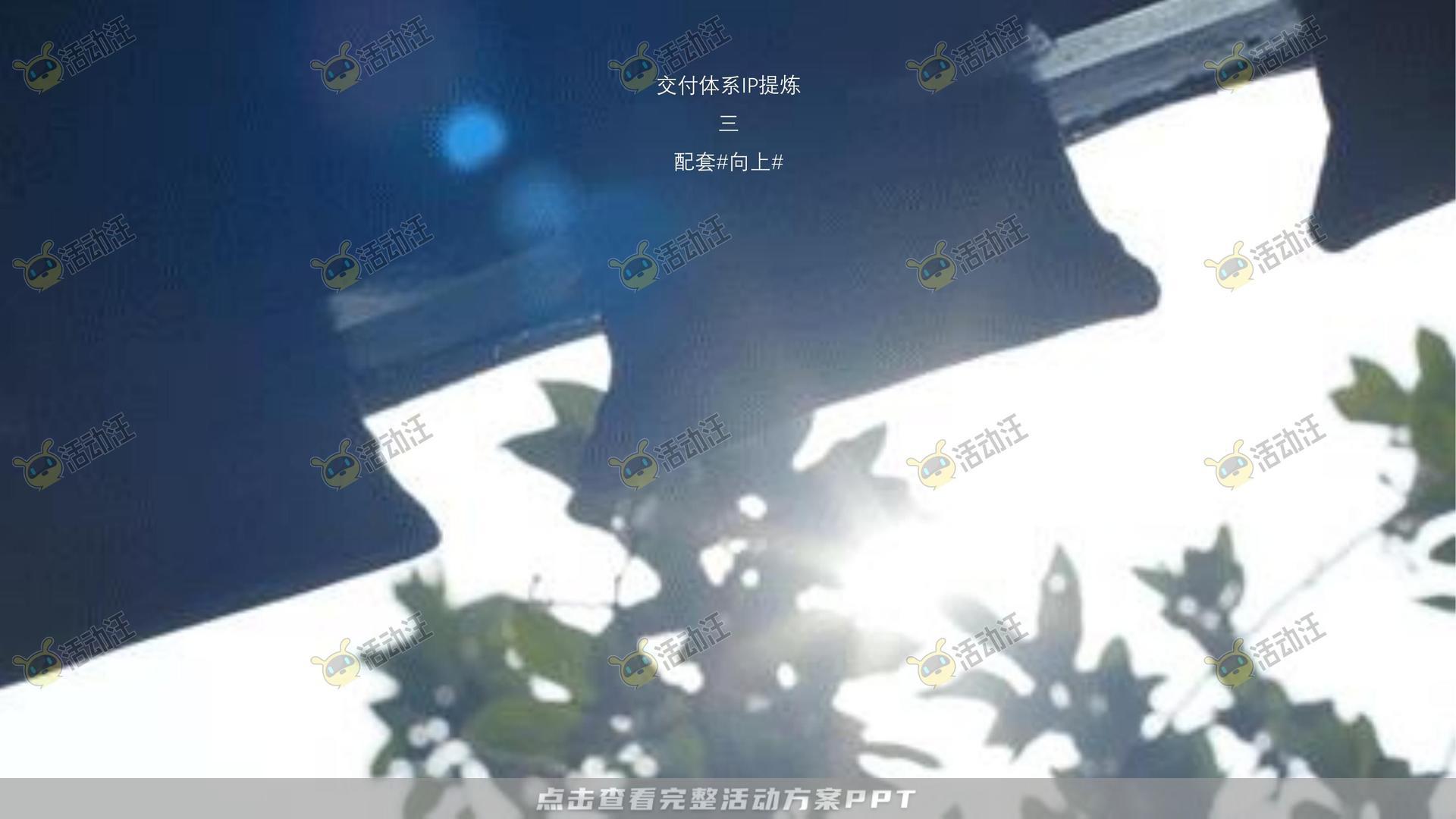 案名发布会活动策划方案