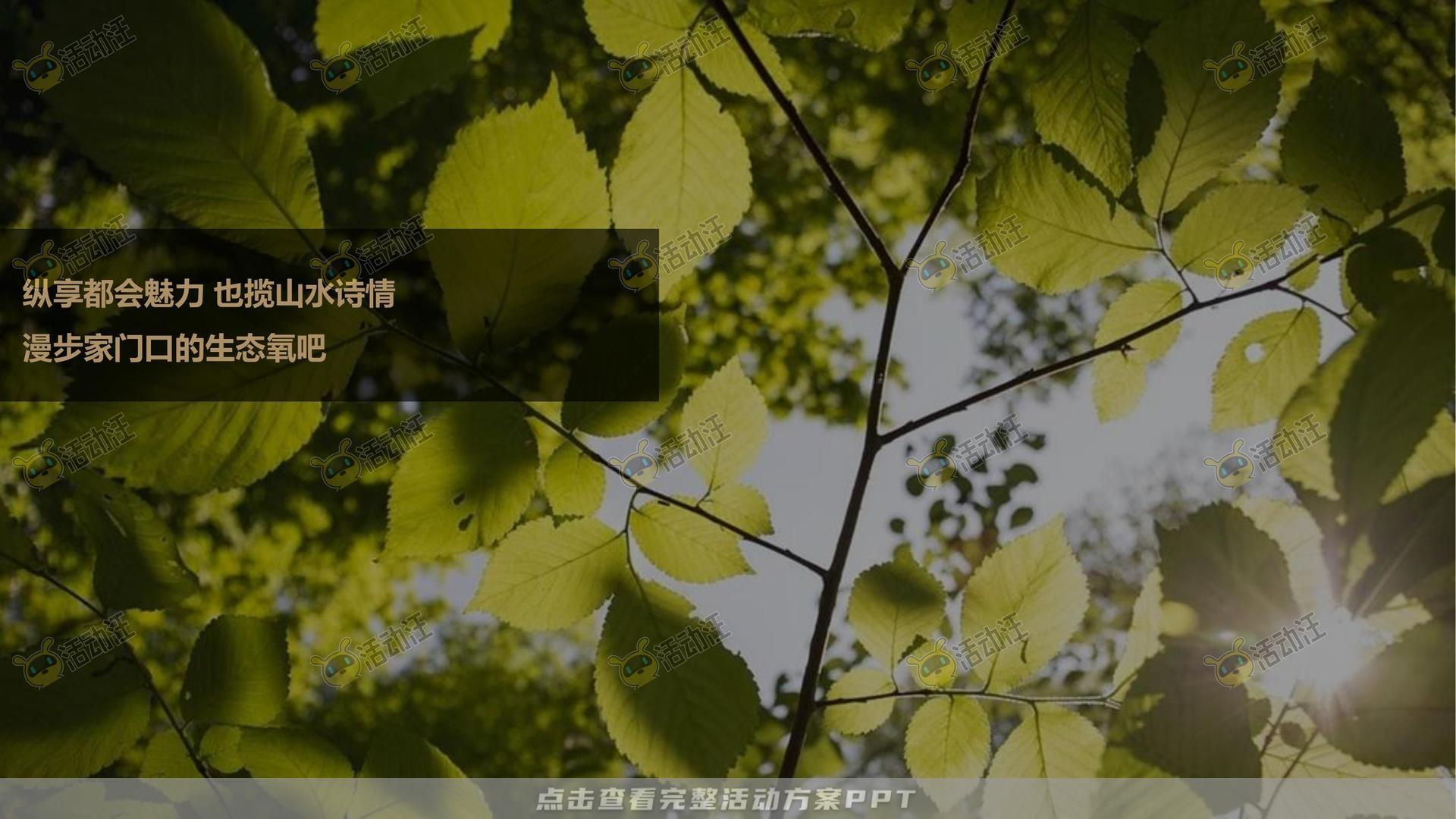 暖场活动活动策划方案