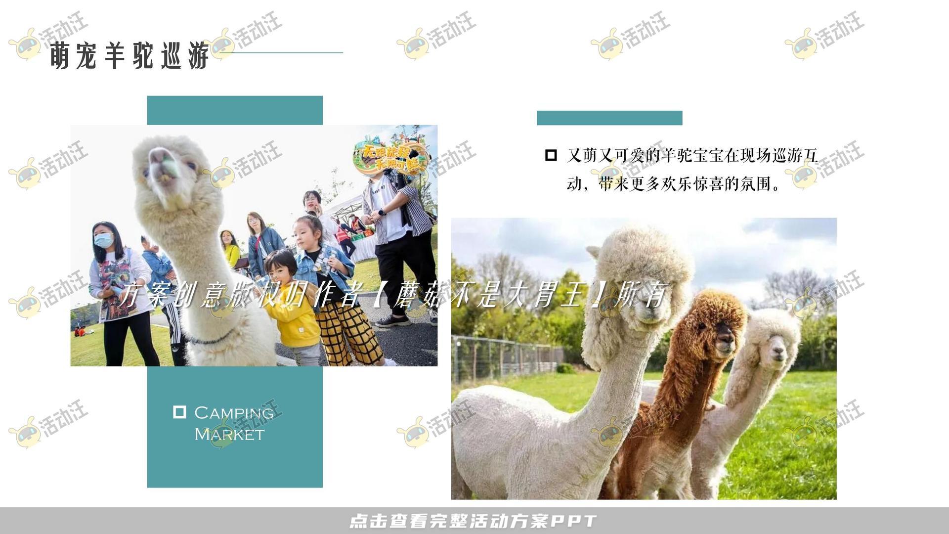 游园会活动策划方案