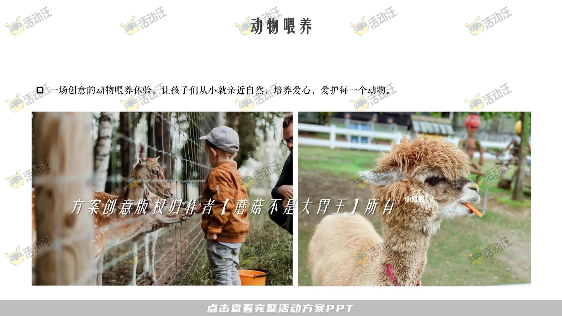 游园会活动策划方案