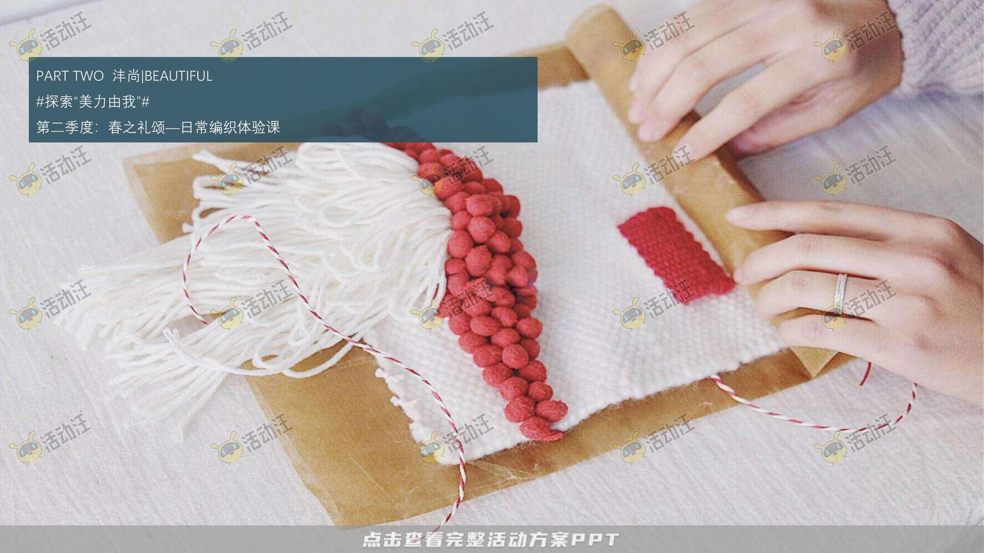 示范区开放活动策划方案