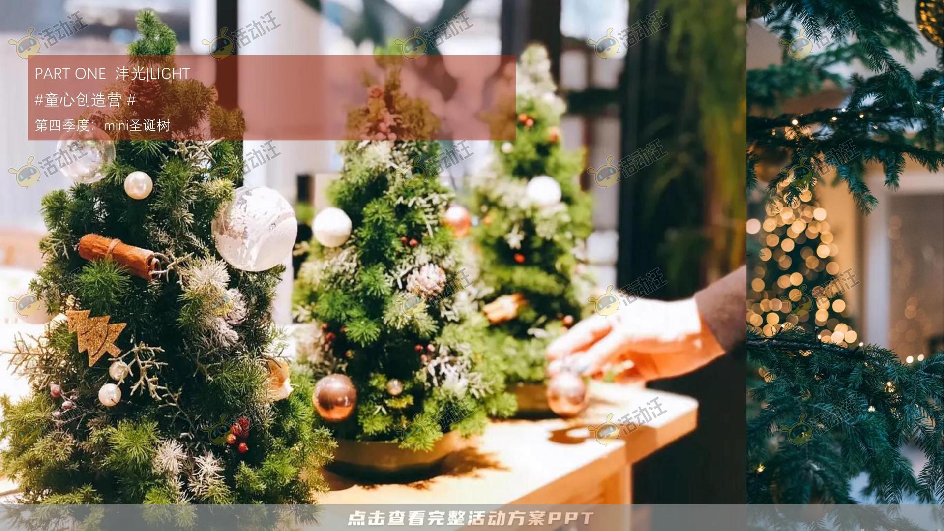 示范区开放活动策划方案
