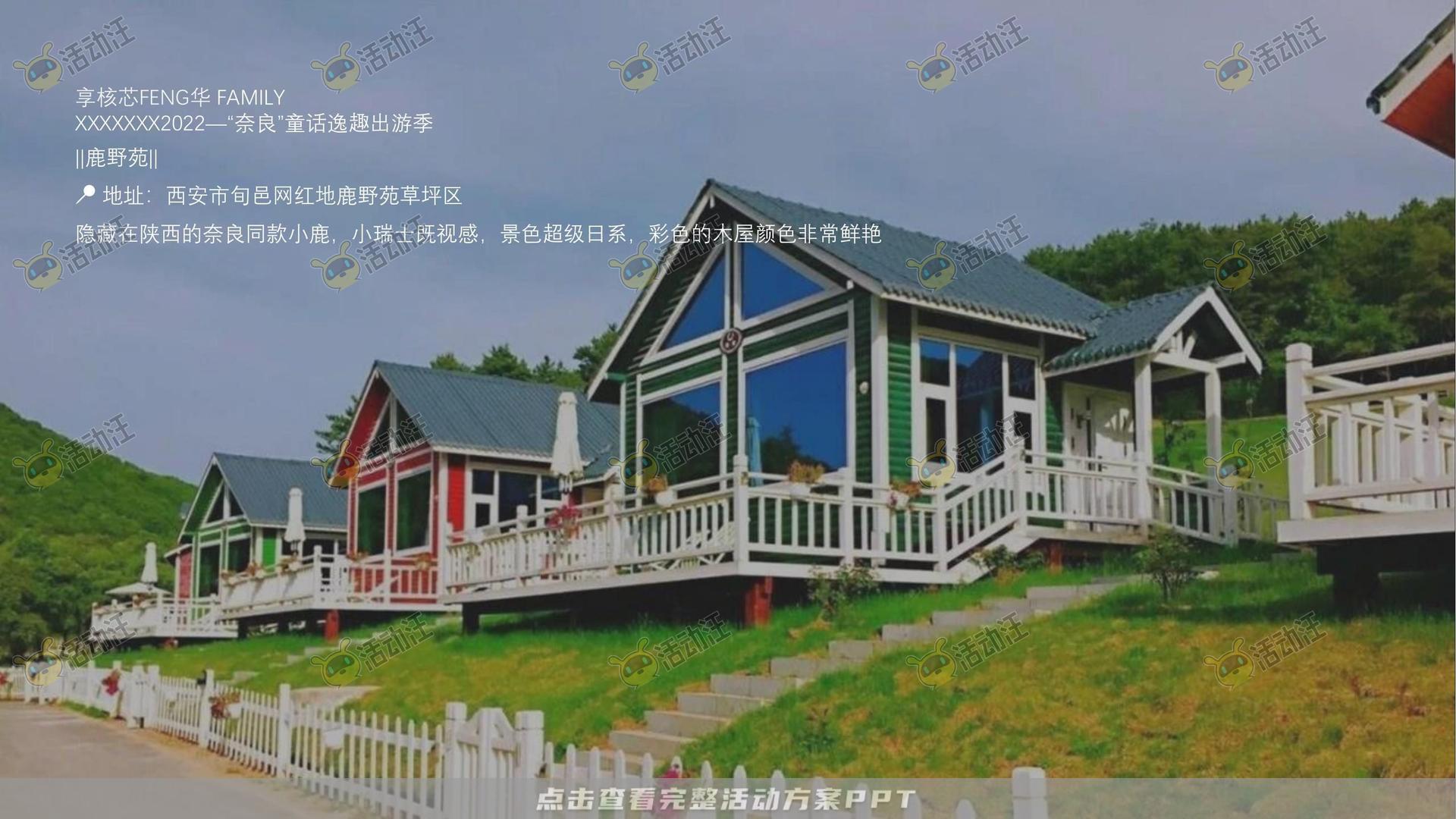 示范区开放活动策划方案