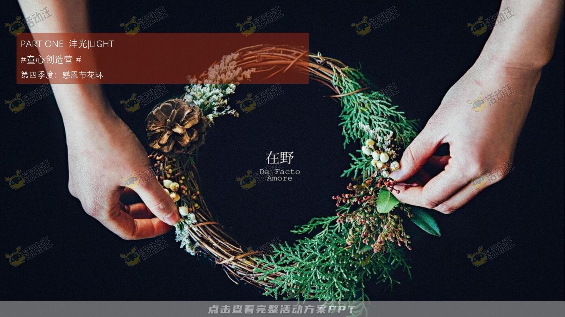 示范区开放活动策划方案