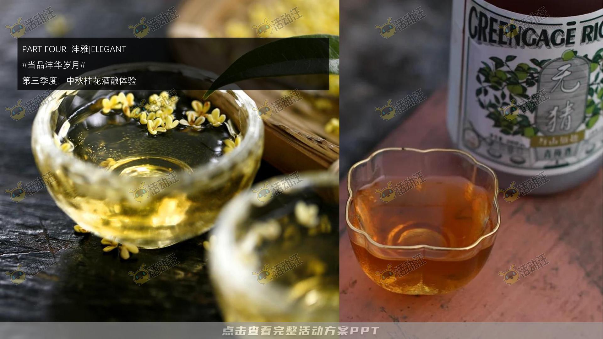 示范区开放活动策划方案