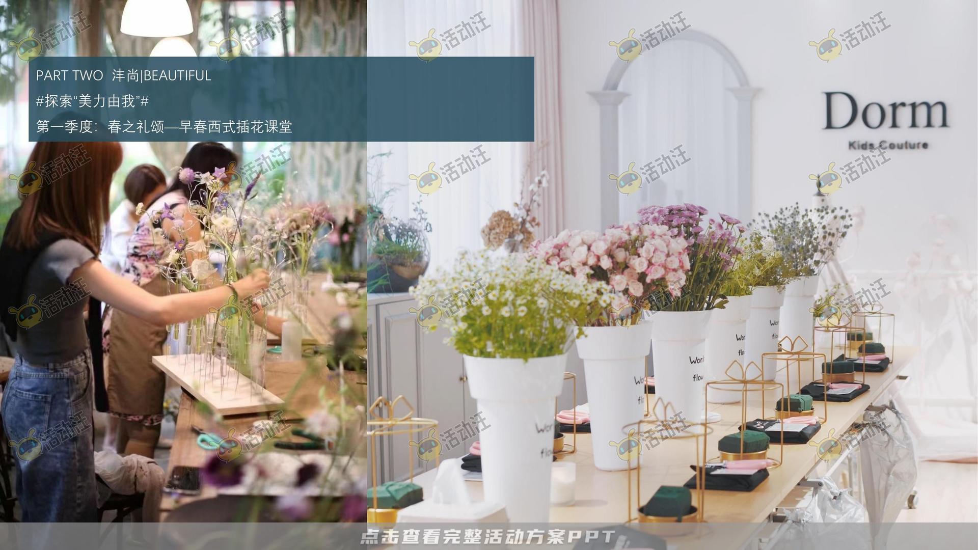 示范区开放活动策划方案