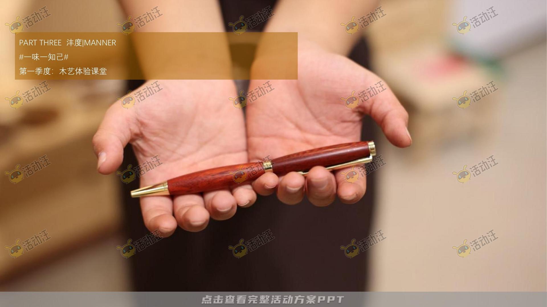 示范区开放活动策划方案