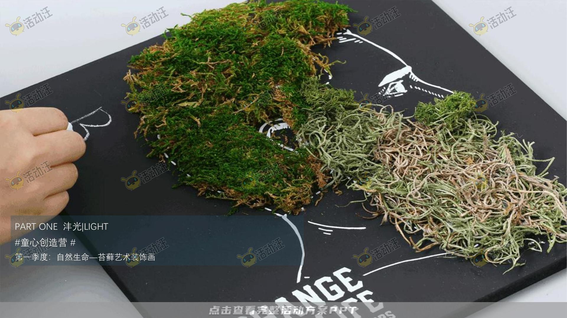 示范区开放活动策划方案