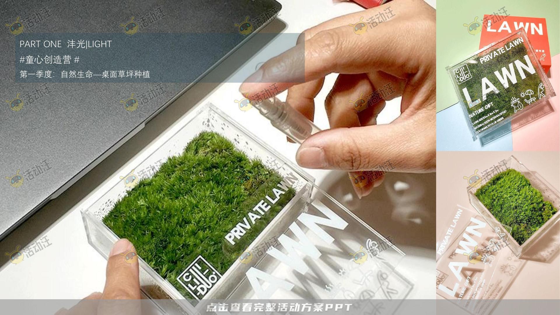示范区开放活动策划方案