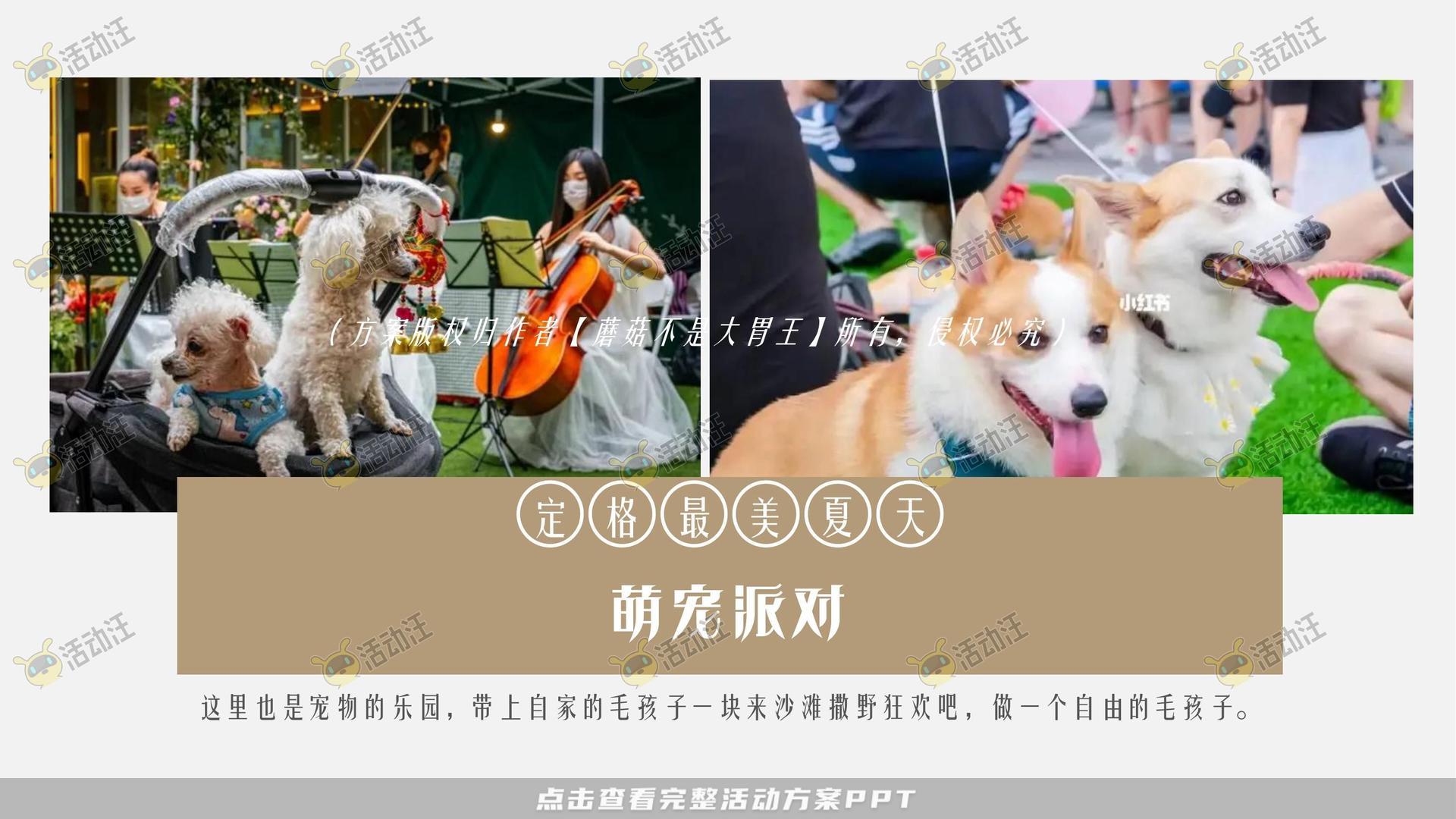音乐节活动策划方案