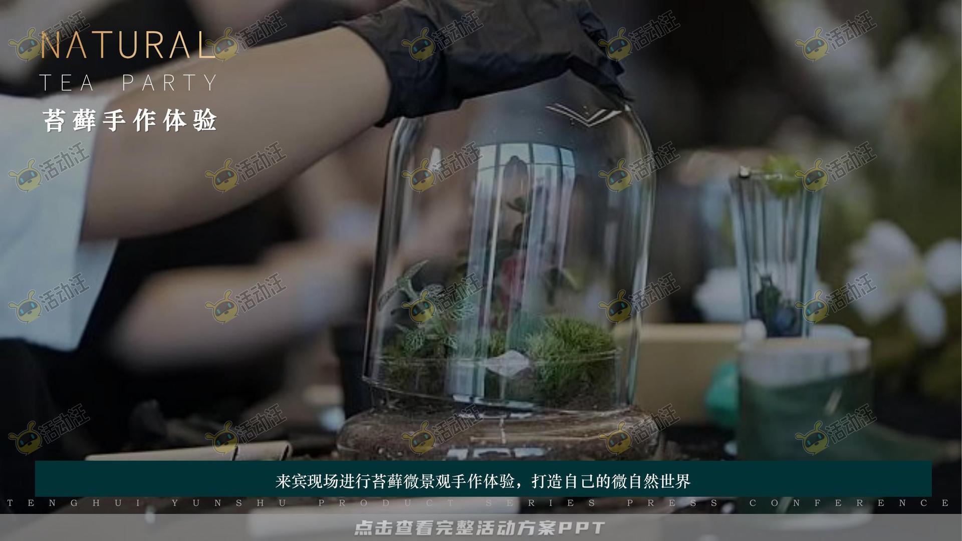 品牌发布会活动策划方案