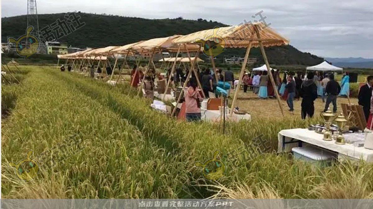 嘉年华活动策划方案