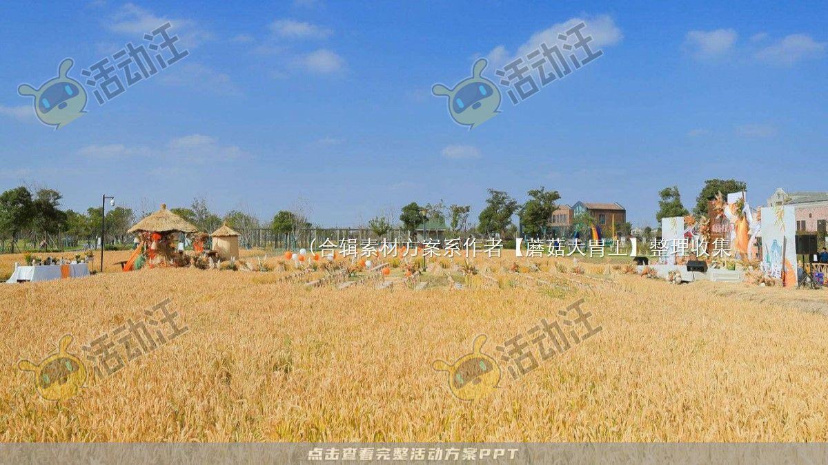 嘉年华活动策划方案