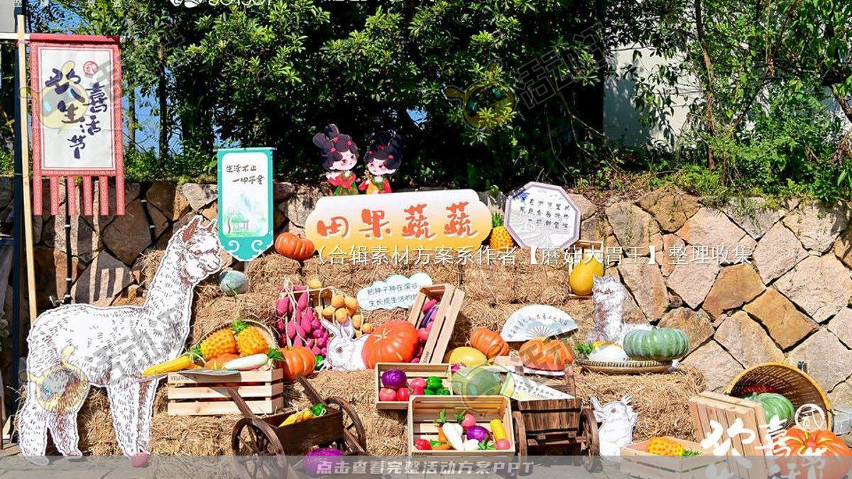 嘉年华活动策划方案