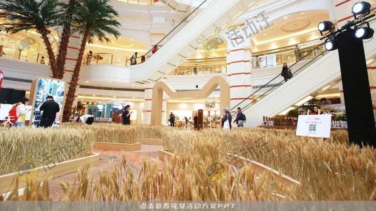 嘉年华活动策划方案