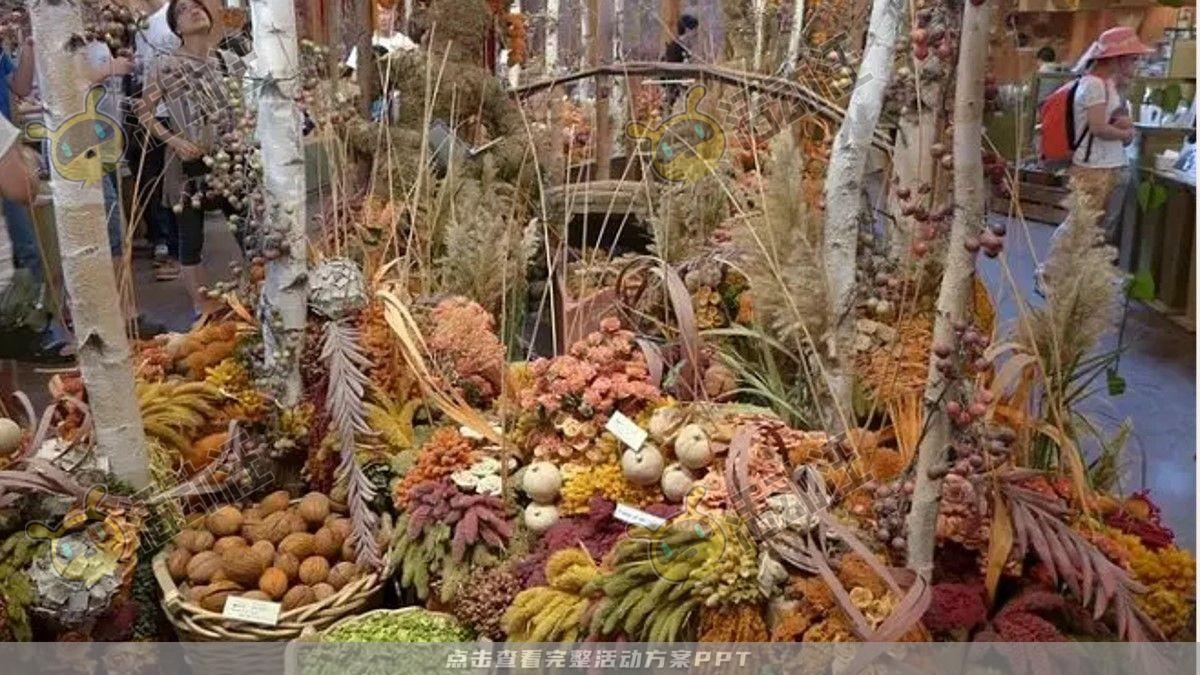 嘉年华活动策划方案