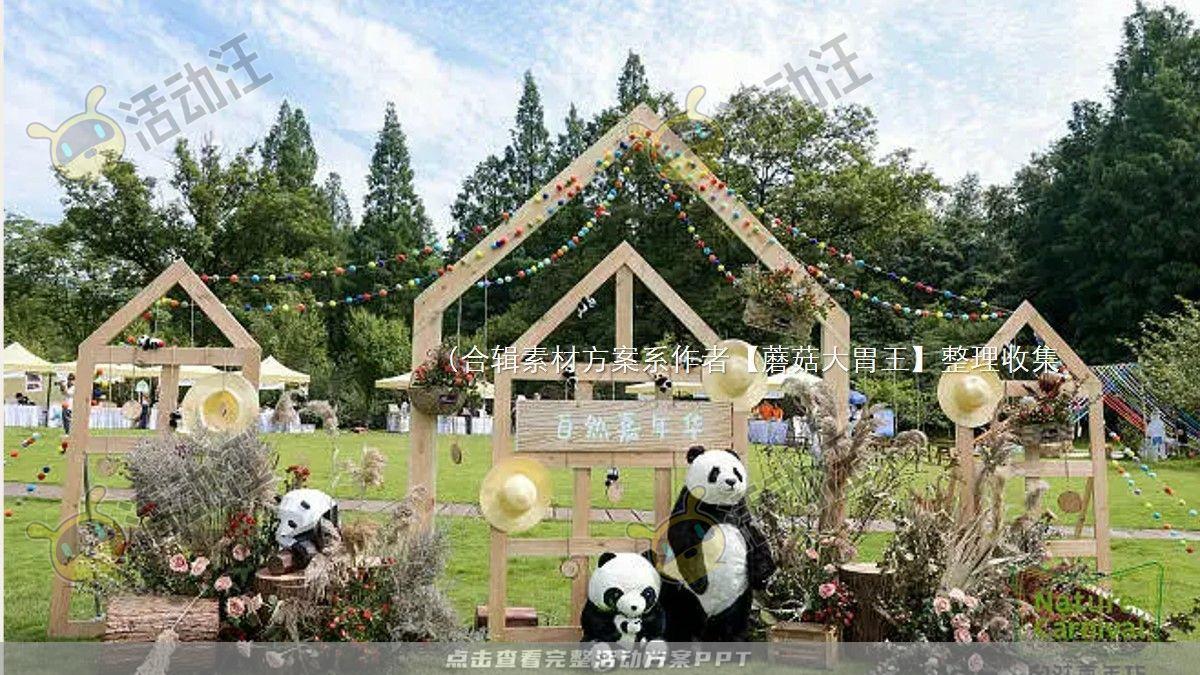 嘉年华活动策划方案