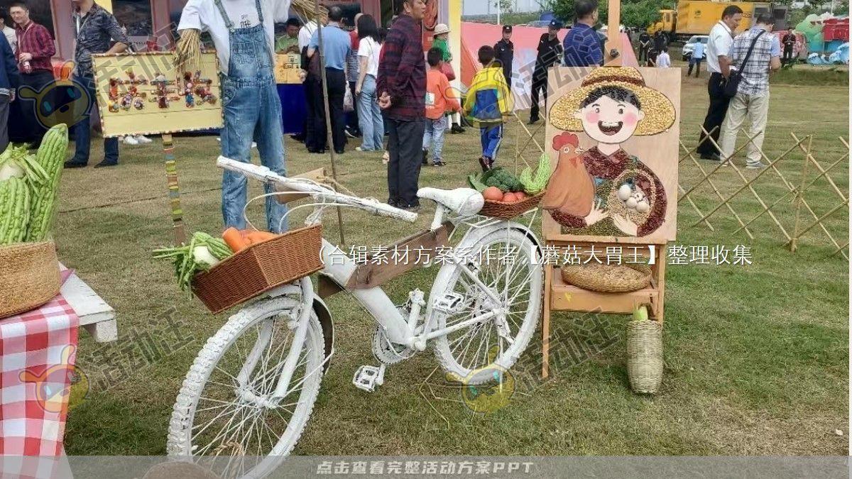 嘉年华活动策划方案