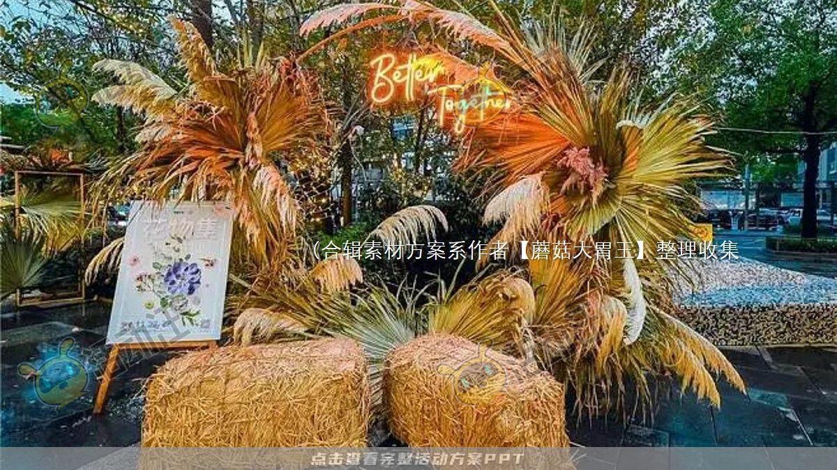 嘉年华活动策划方案