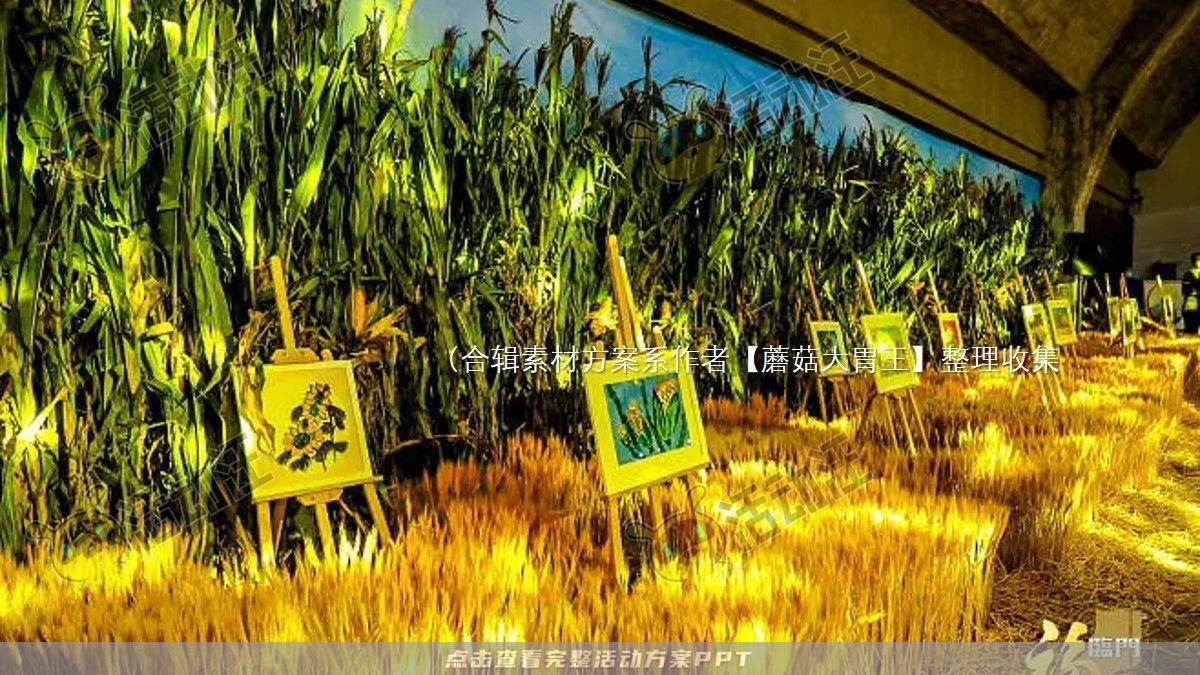 嘉年华活动策划方案