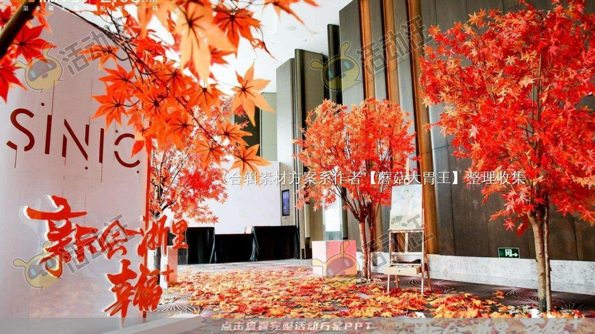 嘉年华活动策划方案