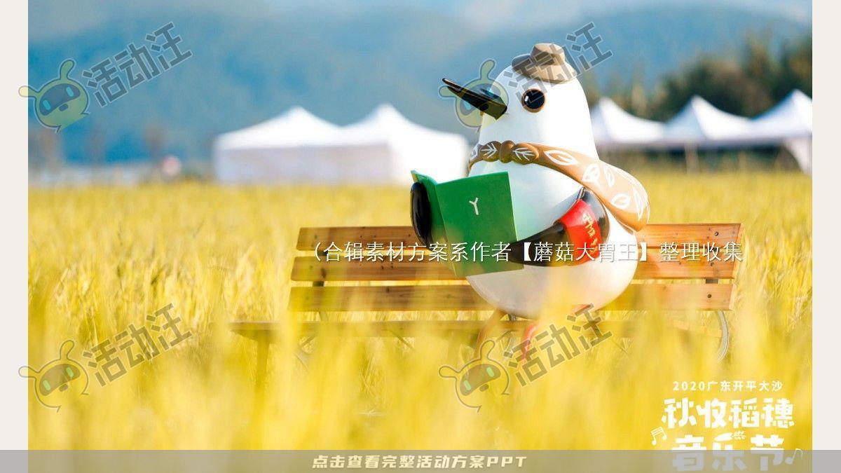 嘉年华活动策划方案