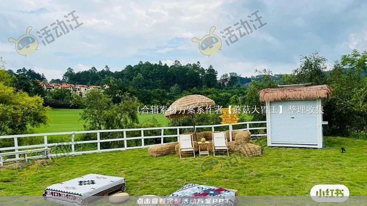 嘉年华活动策划方案