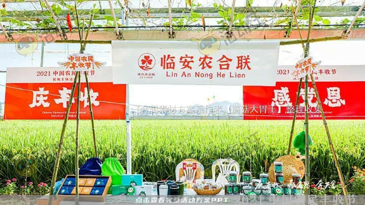 嘉年华活动策划方案