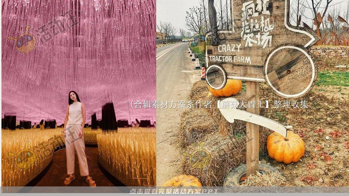 嘉年华活动策划方案