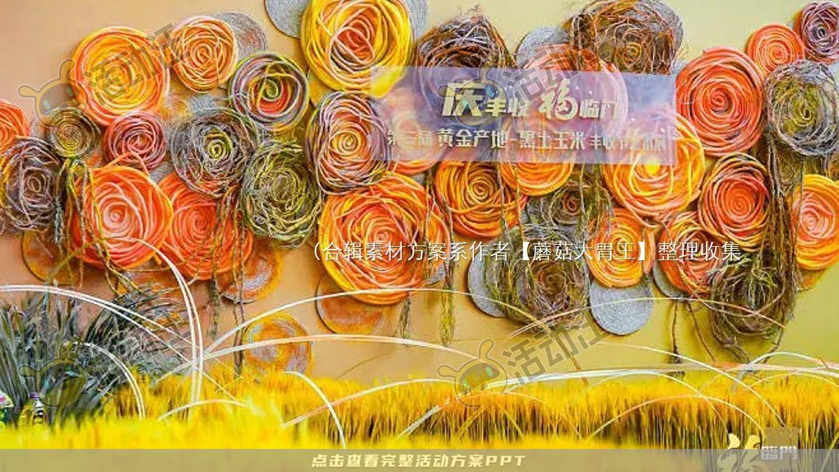 嘉年华活动策划方案