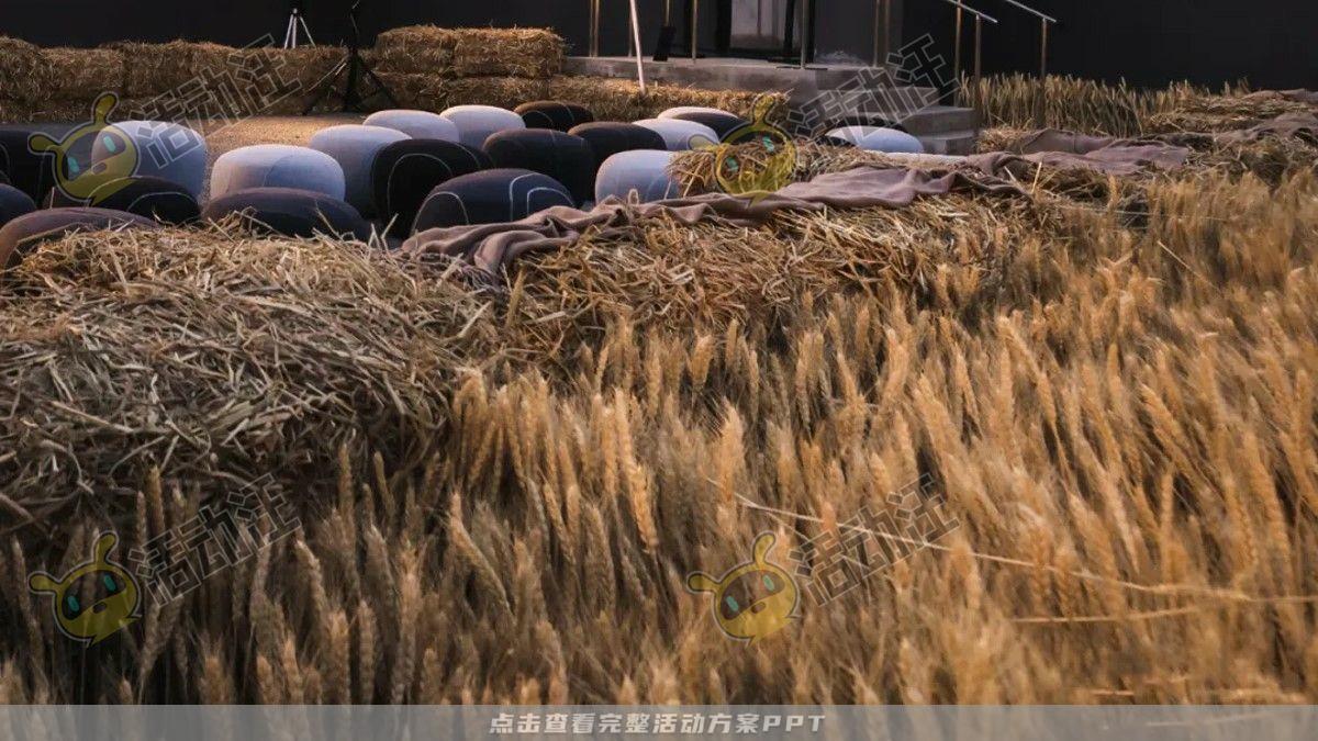 嘉年华活动策划方案