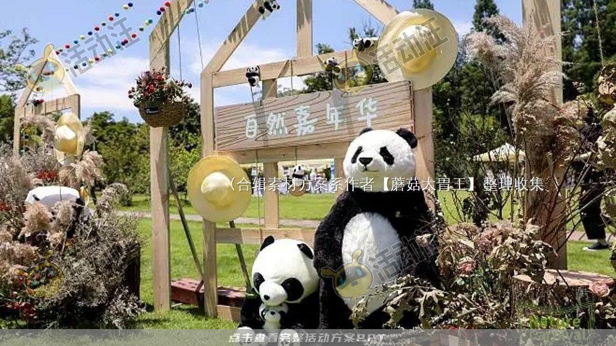 嘉年华活动策划方案