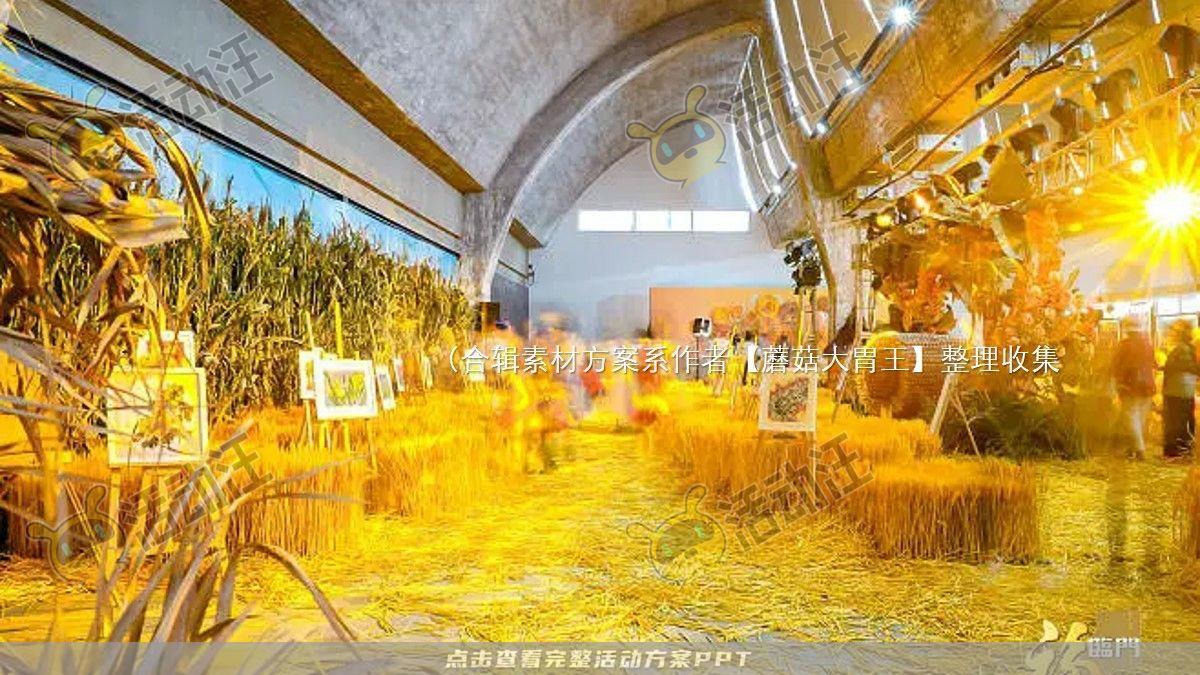 嘉年华活动策划方案