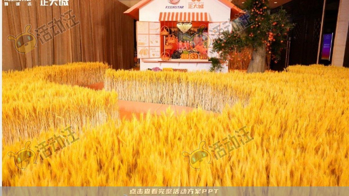 嘉年华活动策划方案