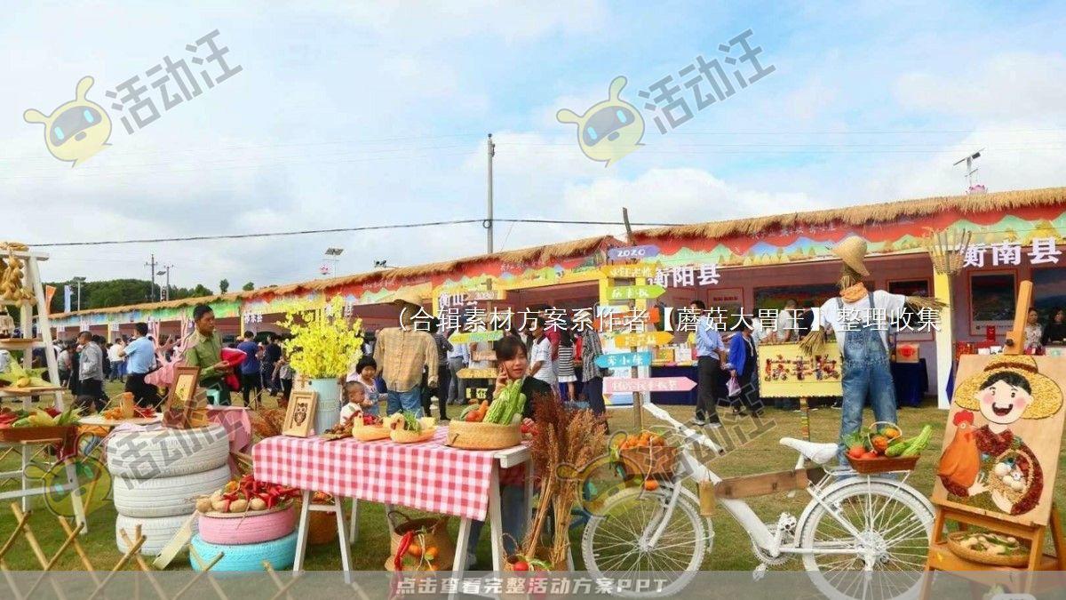 嘉年华活动策划方案