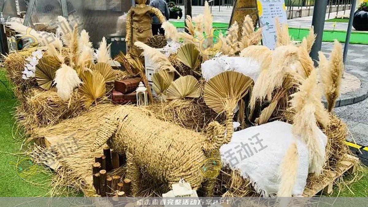 嘉年华活动策划方案