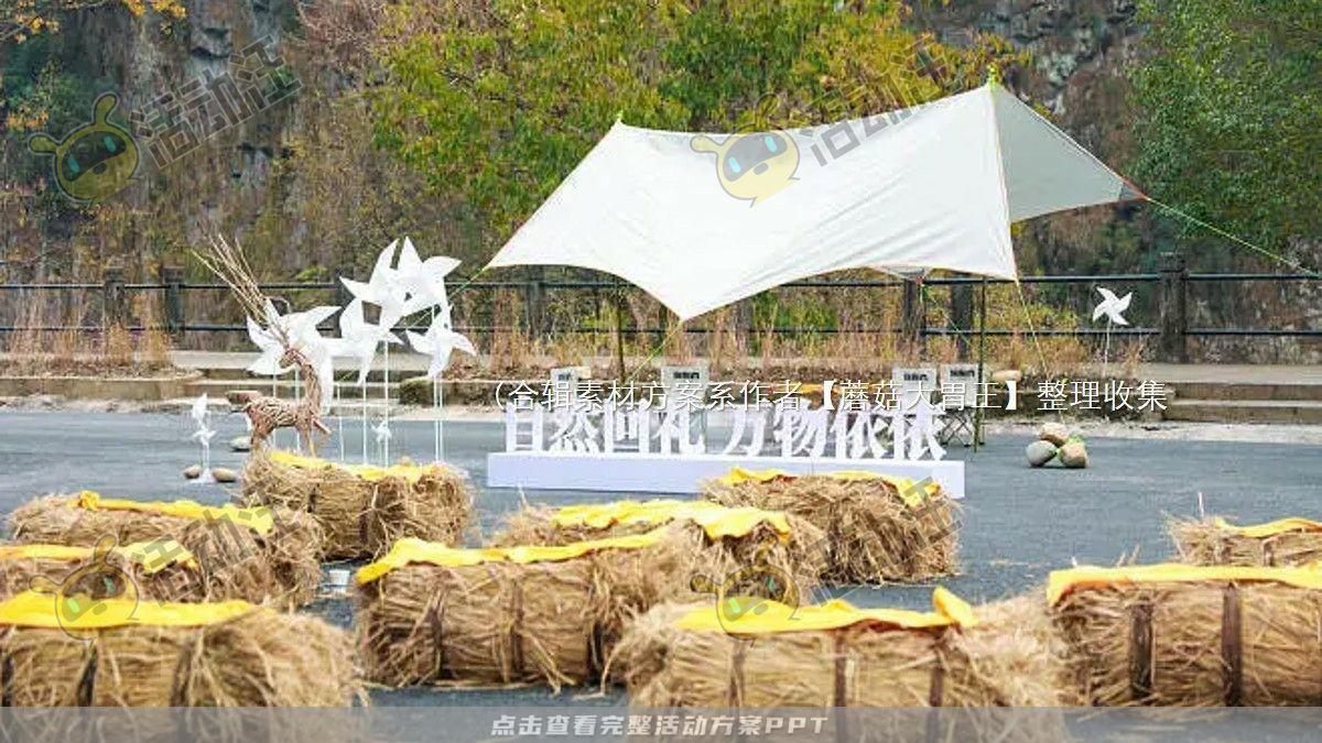 嘉年华活动策划方案